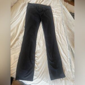 Joes Jeans Wilma Bootcut